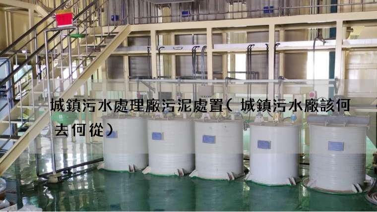 城鎮污水處理廠污泥處置(城鎮污水廠該何去何從)